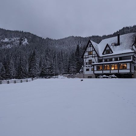 Chalet Alpina Moroeni Εξωτερικό φωτογραφία
