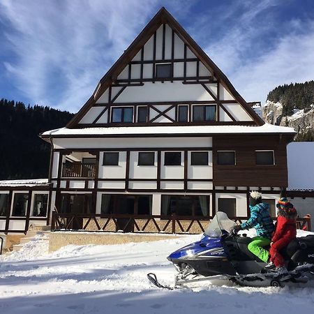 Chalet Alpina Moroeni Εξωτερικό φωτογραφία