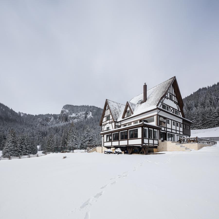 Chalet Alpina Moroeni Εξωτερικό φωτογραφία