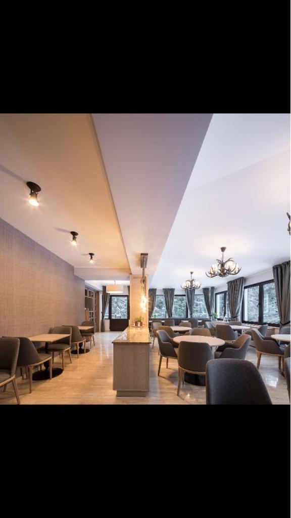 Chalet Alpina Moroeni Εξωτερικό φωτογραφία